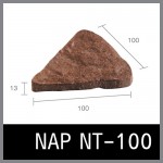 NAP-NT-100